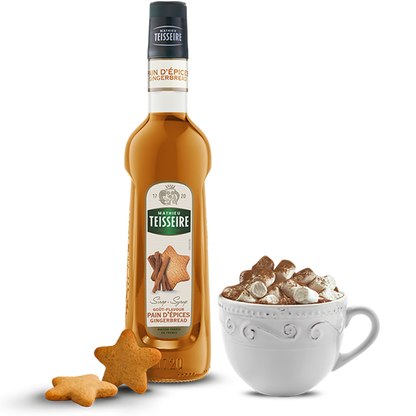 Mathieu Teisseire Gingerbread Syrup