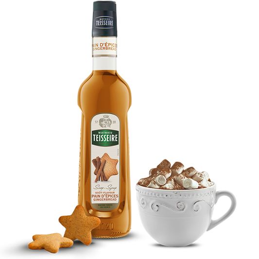 Mathieu Teisseire Gingerbread Syrup